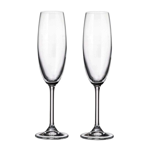 Набор бокалов для шампанского Crystalite Bohemia Colibri/Gastro 220 мл (2 шт) russki dom
