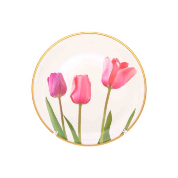 Набор тарелок Toygar Tulip 25 см (6 шт) russki dom