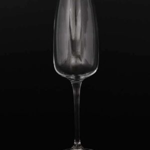 ALIZEE Набор фужеров для шампанского 290 мл Crystalite (6 шт) russki dom